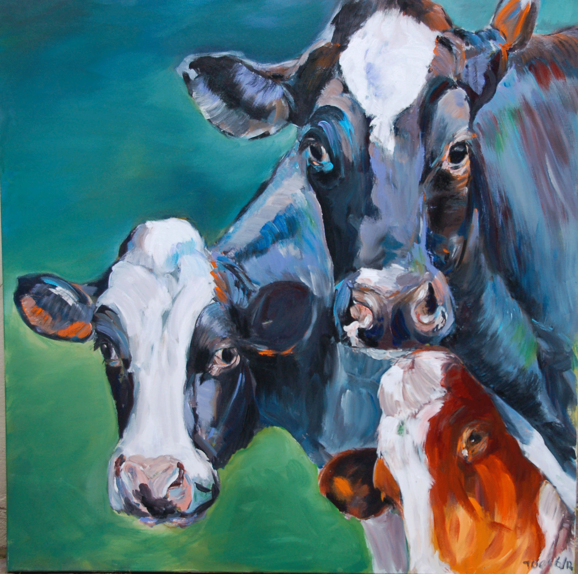 de-nieuwsgierige-roodbonte-uit-chaam-100x100-2012