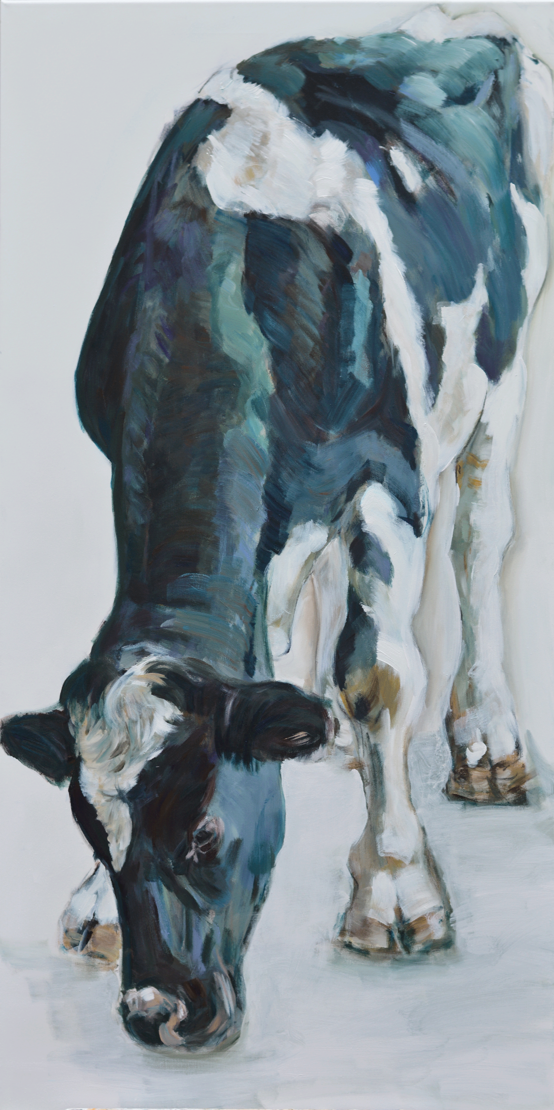 kalf-zwartbont-2-140-x-70-verkocht