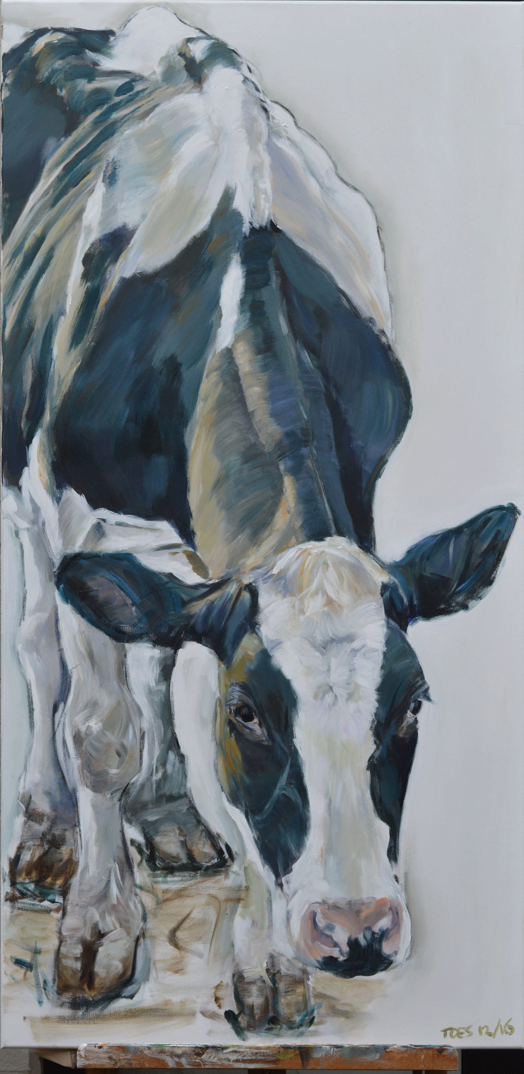 koe-zwartbont-2-70x140-verkocht